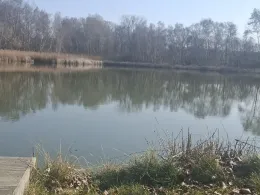 Morellensee (Doberschütz)-4