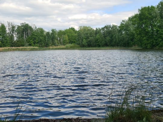 Morellensee (Doberschütz)-1