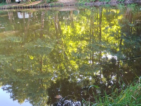 Rhinkanal (Alt Ruppin)-1