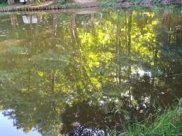 Rhinkanal (Alt Ruppin)-1