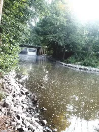 Rhinkanal (Alt Ruppin)