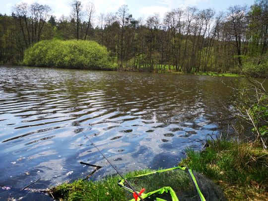 Fischbacher Teich ALLE ANGELN