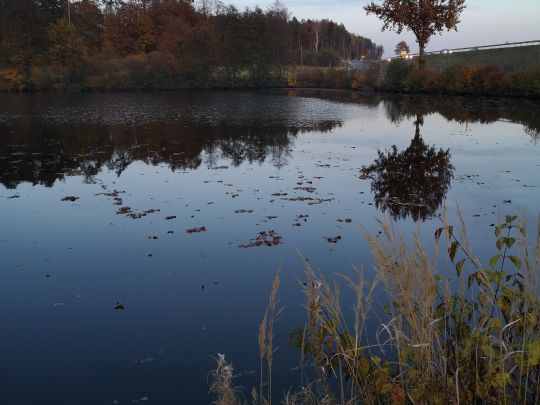 Fischbacher Teich ALLE ANGELN