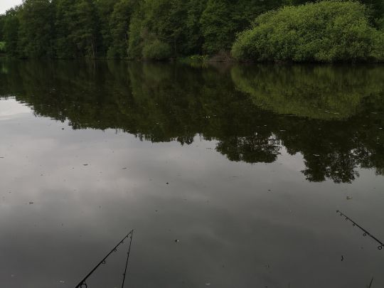 Fischbacher Teich ALLE ANGELN