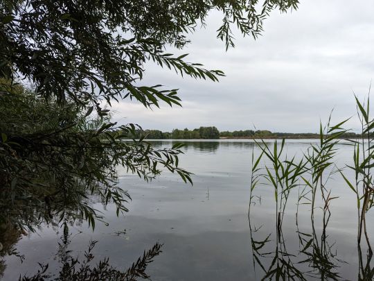 Kiessee Windheim-Ilse-4