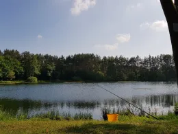 Schwanenteich (Felsberg)-1