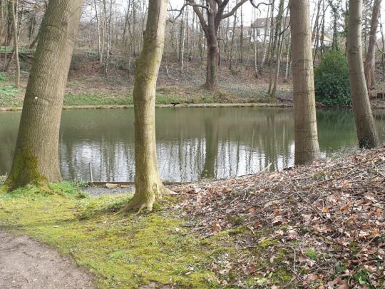 Kaisersruh (Würselen)-3