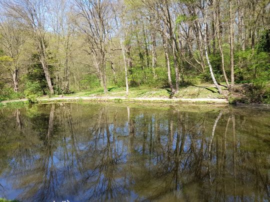 Kaisersruh (Würselen)-2