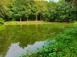 Kaisersruh (Würselen)