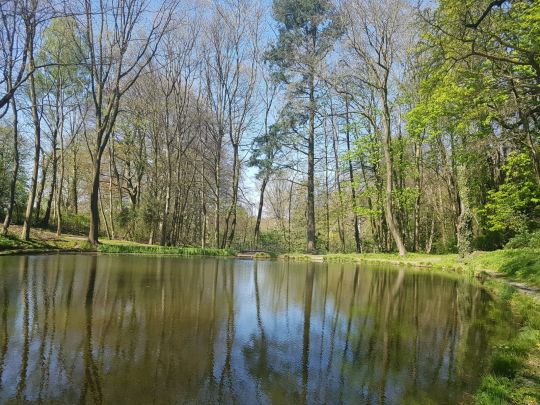 Kaisersruh (Würselen)-1