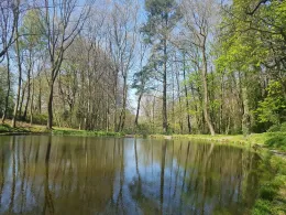 Kaisersruh (Würselen)-1