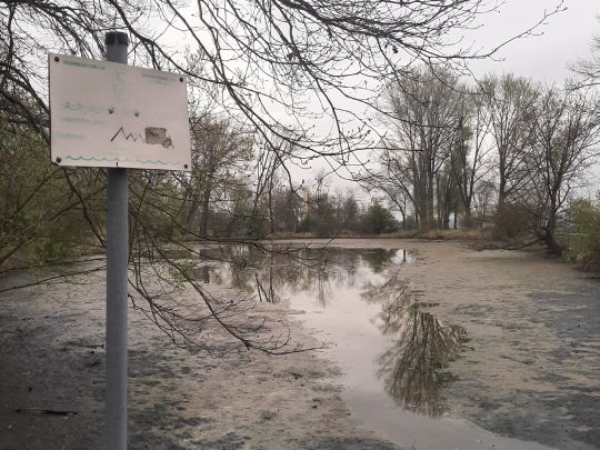 Schenkteich (Zweimen)-3