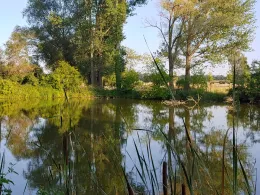 Schenkteich (Zweimen)-1