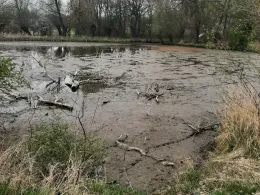 Schenkteich (Zweimen)-2