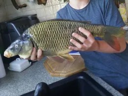 Tonteich (Eisenberg)