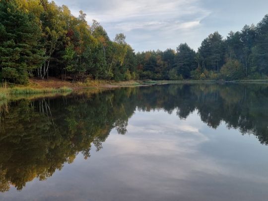Kieselsäureteich (Faßberg)-2