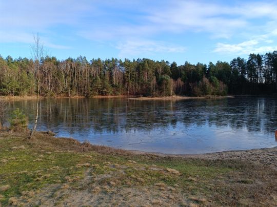 Kieselsäureteich (Faßberg)-4