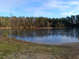 Kieselsäureteich (Faßberg)-4