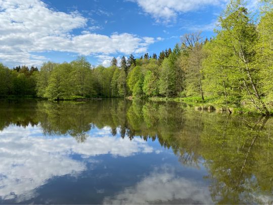 Bihlafinger Weiher-3