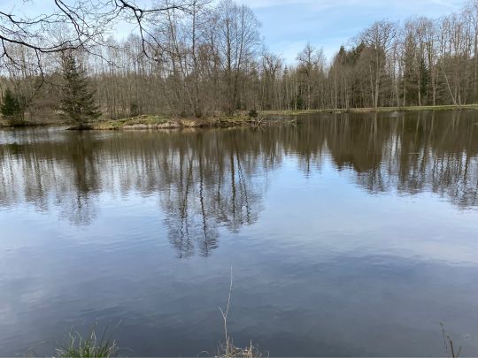 Bihlafinger Weiher-2