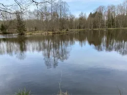 Bihlafinger Weiher-2