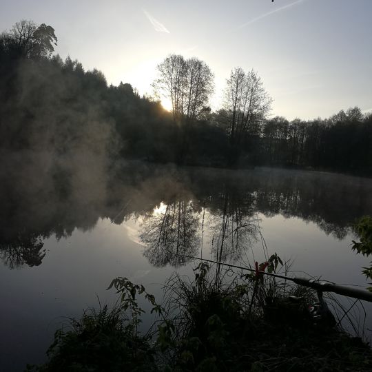 Bihlafinger Weiher-0