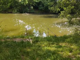 Ziegeleiteich Hohenstein-Ernstthal-3