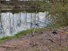Ziegeleiteich Hohenstein-Ernstthal