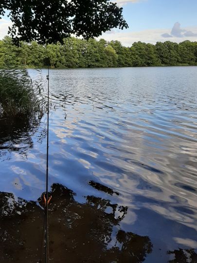 Gaarzer See (Plau)