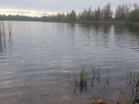 Revierparkteich Profen-1