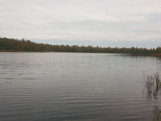 Revierparkteich Profen-3