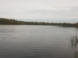 Revierparkteich Profen-3