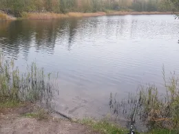 Revierparkteich Profen