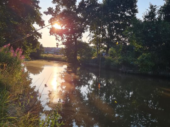 Wischhafener Schleusenfleht-3