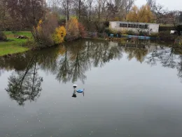 Tillybad (Höchster Freibad)