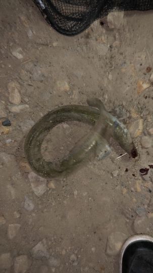 Stichkanal Püsselbüren-4