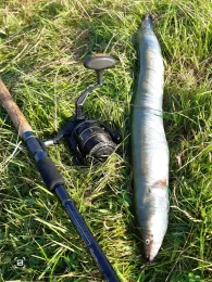 Obere Hunte (Oldenburg)