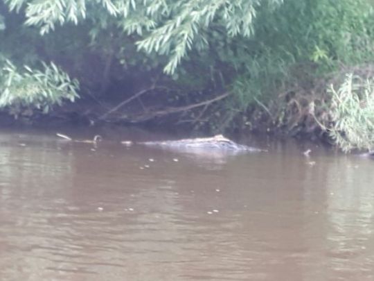 Obere Hunte (Oldenburg)-4