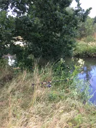 Schwäbische Rezat (Pleinfeld)