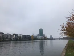 Main (Frankfurt)