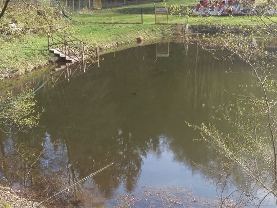 Wiesenbeker Teich ALLE ANGELN