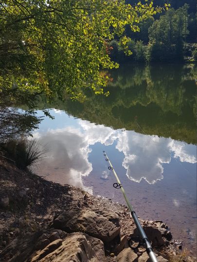 Wiesenbeker Teich ALLE ANGELN