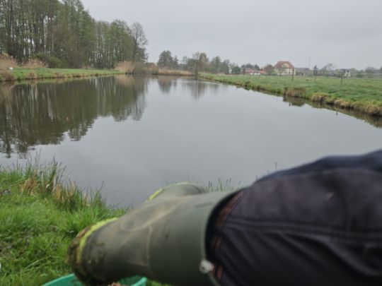 Langer Teich (Immekath)-4