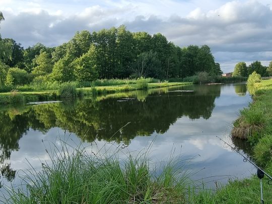 Langer Teich (Immekath)-3