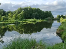 Langer Teich (Immekath)-3