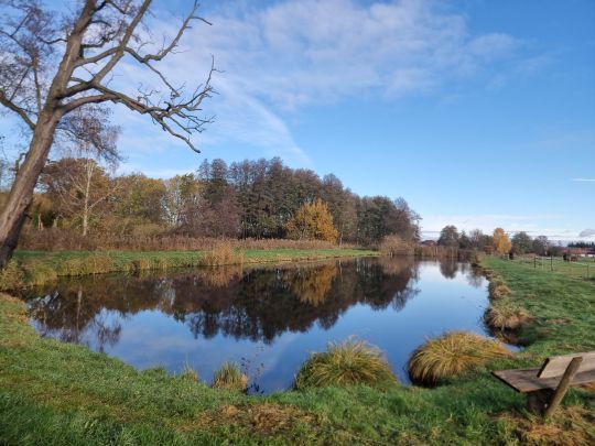 Langer Teich (Immekath)-1