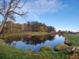 Langer Teich (Immekath)-1