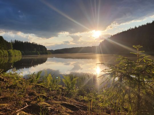 Talsperre Saidenbach-2