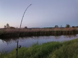 Wörnitz (Oettingen in Bayern)