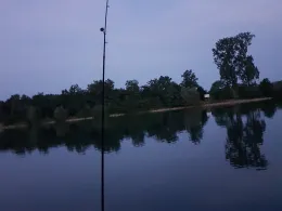 Rhein (Ingelheim / Oestrich-Winkel))-3